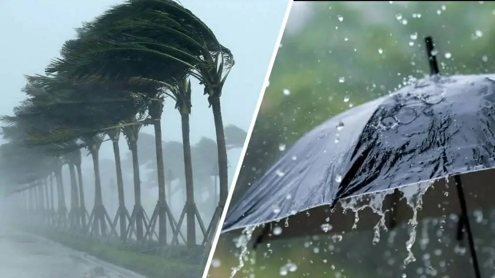 طوارئ فى الإسكندرية للتعامل مع نوة الشمس الكبرى