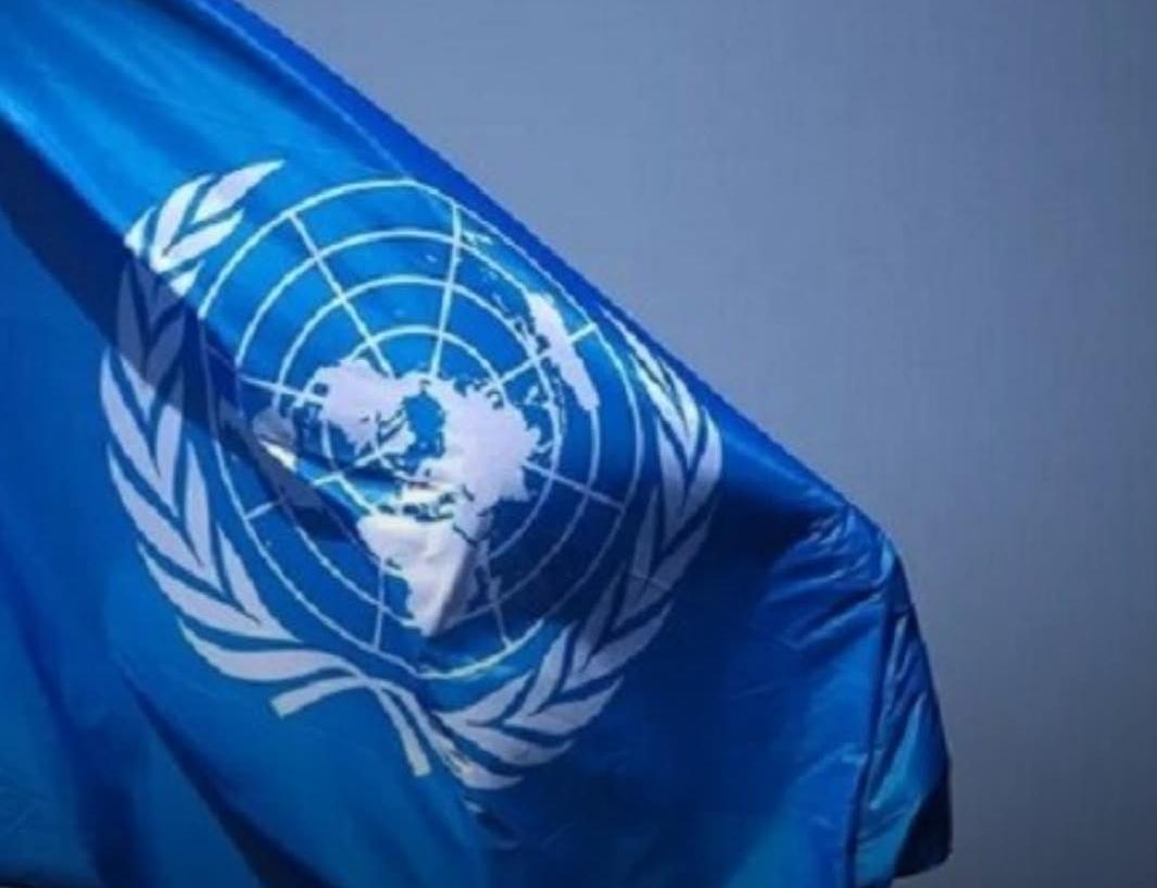 الأمم المتحدة: قوات الدعم السريع ارتكبت جرائم حرب وجرائم محتملة ضد الإنسانية