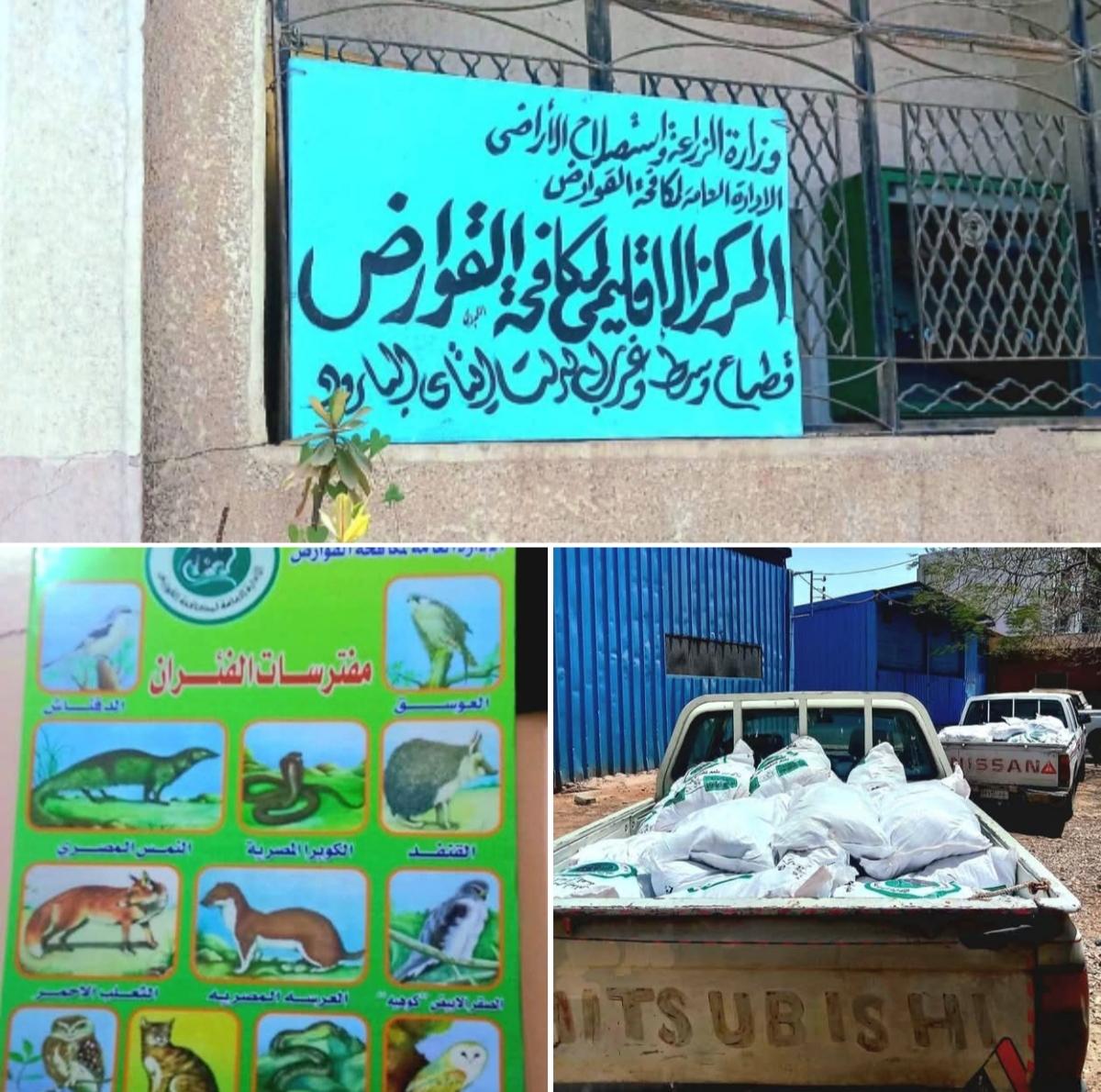 زراعة الإسماعيلية تستعد لبدء أعمال الحملة القومية لمكافحة القوارض