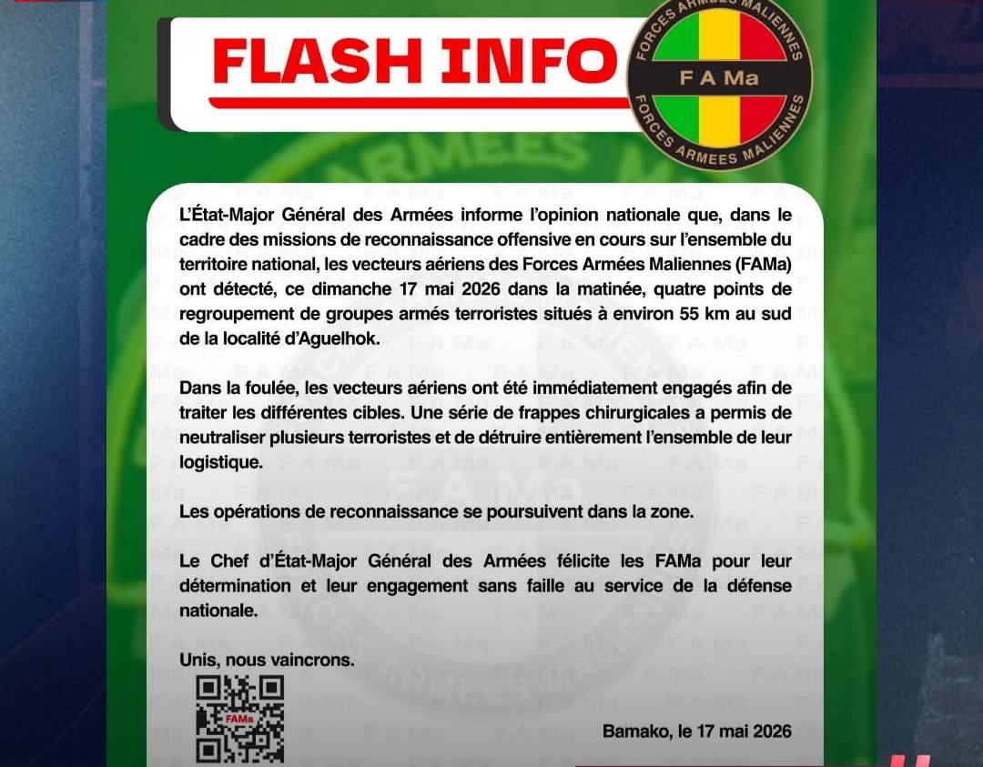 الجيش المالي تنفيذ ضربات جوية استهدفت مواقع تابعة لما وصفها بـ"الجماعات الإرهابية المسلحة"