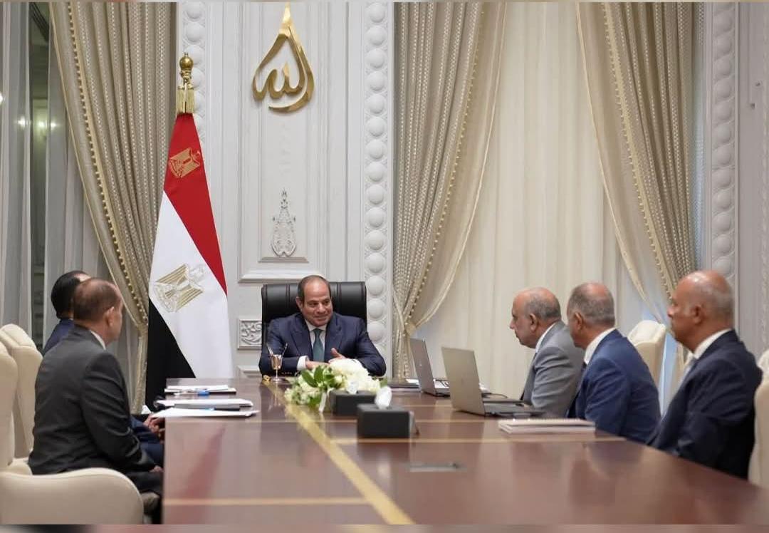الرئيس السيسي يوجه بضرورة تنمية التصنيع المحلي في الرمال السوداء والعناصر الأرضية النادرة