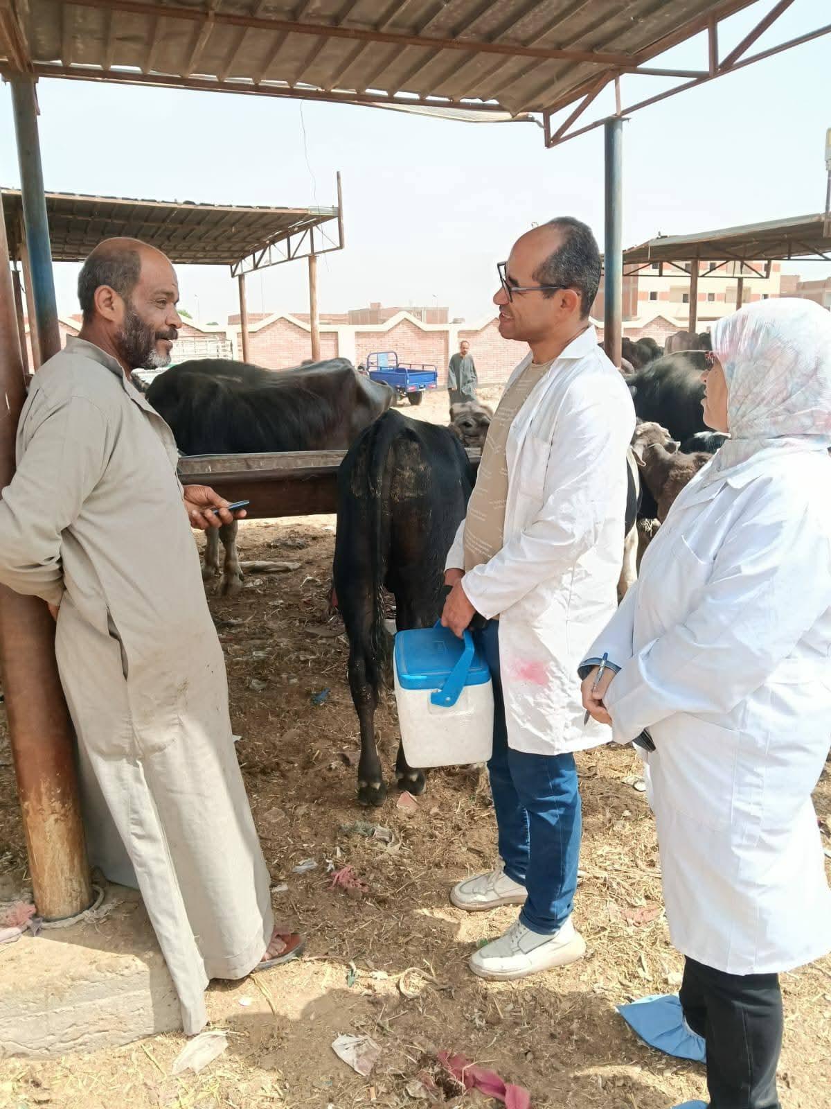 224bd752-63c5-4530-bcfb-036177365b09