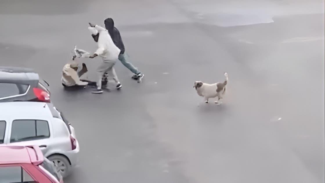 سرقة امرأة بالشارع تصدم التونسيين