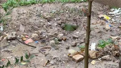 مخاوف جديدة بشأن مخاطر اكتشاف ألغام مضادة لدبابات أمريكية الصنع في قرية إيرانية