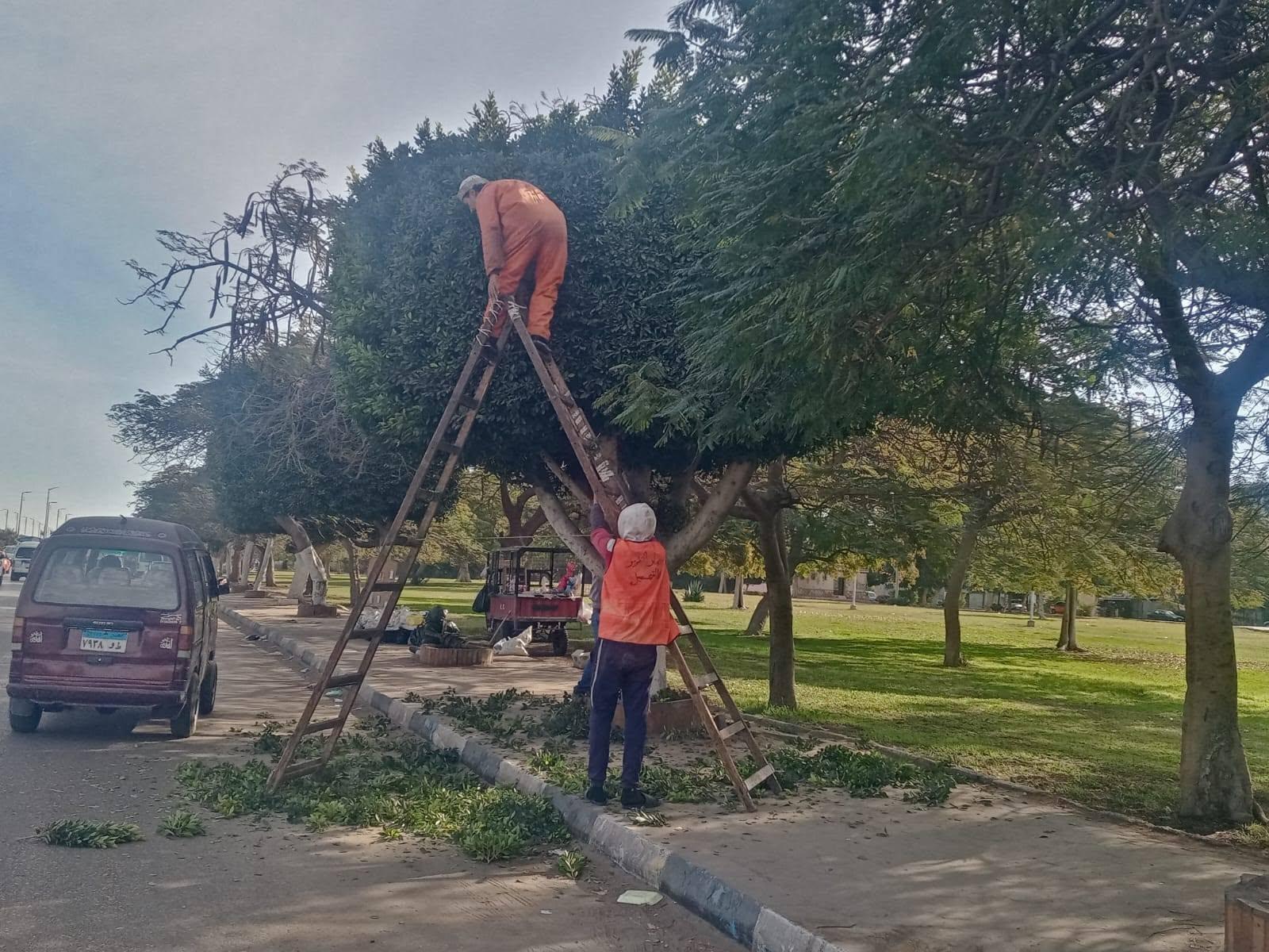 تحت شعار "جمِّل مدينتك".. جهاز التطوير والتجميل يواصل جهوده للارتقاء بالمظهر الحضاري للإسماعيلية
