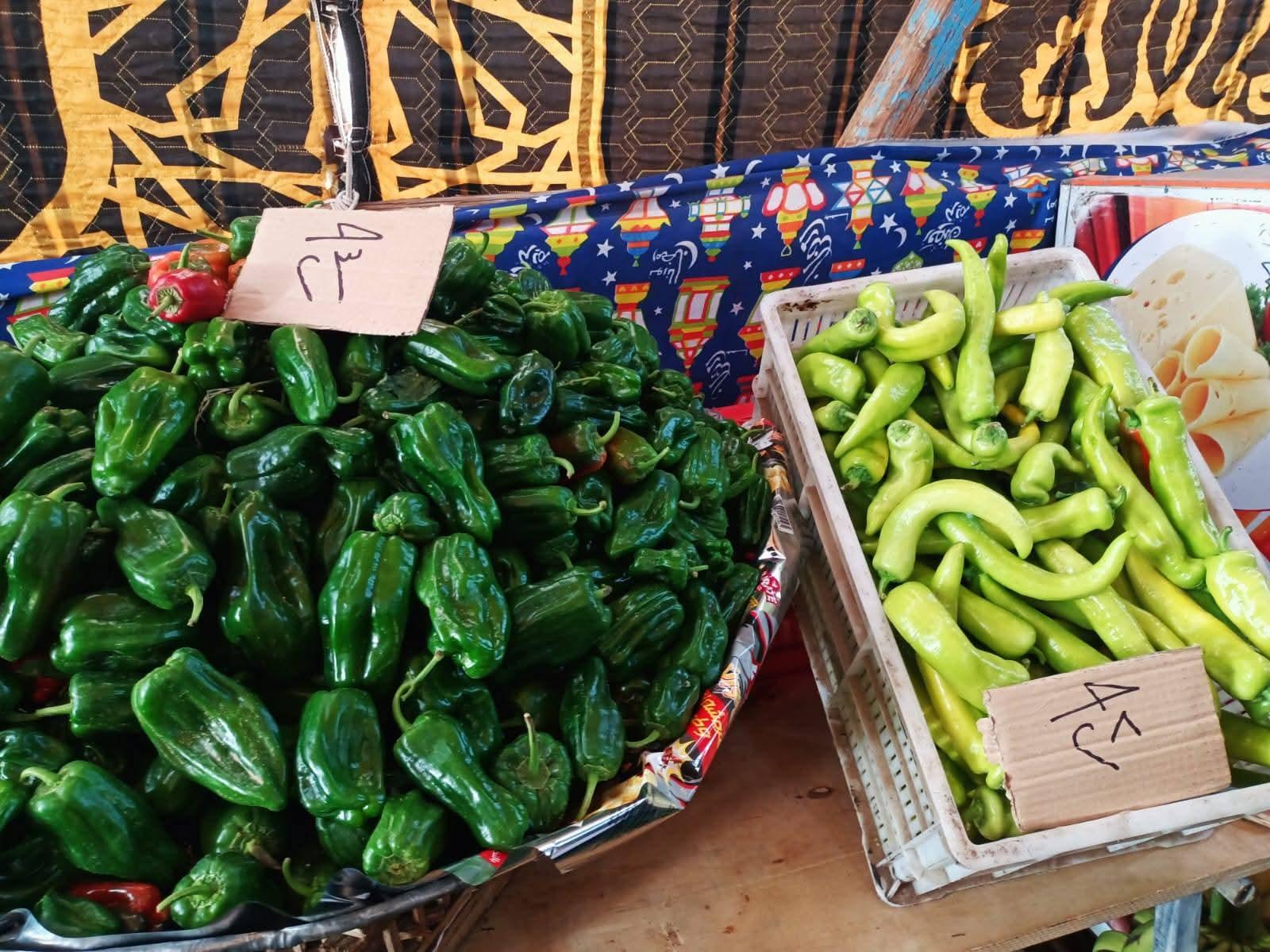 be4c73c8-3750-4ecd-8123-11d8716c029c