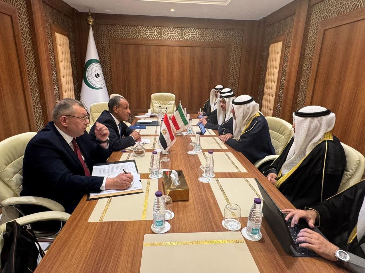 وزير الخارجية يلتقى مع نظيره الكويتى