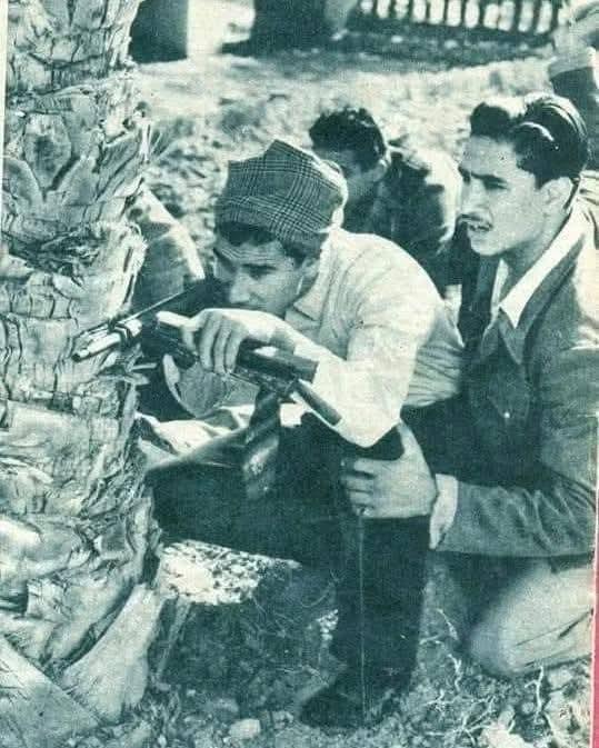 معركة كفر احمد عبده المنسية من التاريخ