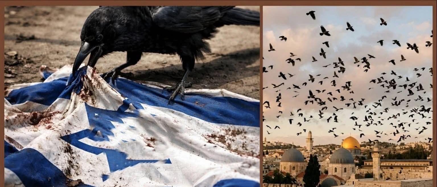 الغربان تغزوا سماء اسراىيل وتحلق بكثافة في تل ابيب فهل هم جندالله