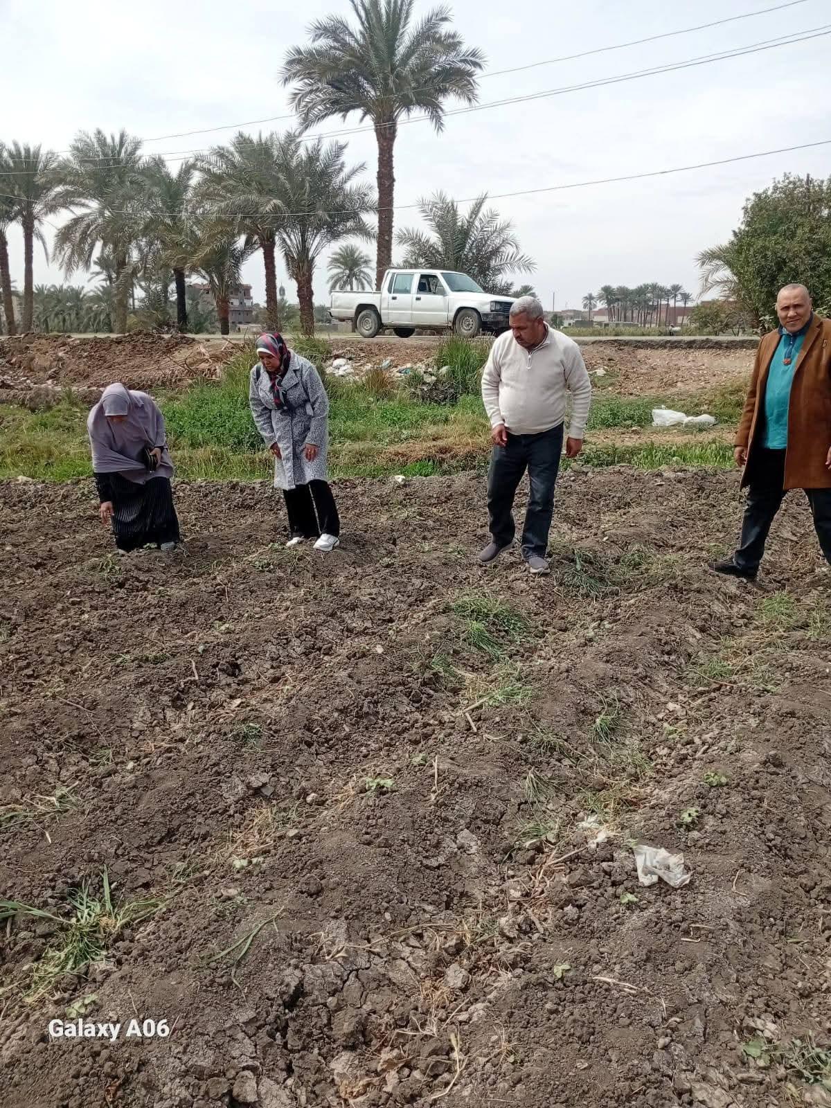زراعة الفيوم - مرور ميداني لمتابعة زراعات القطن وتعزيز الإنتاجية بالفيوم.