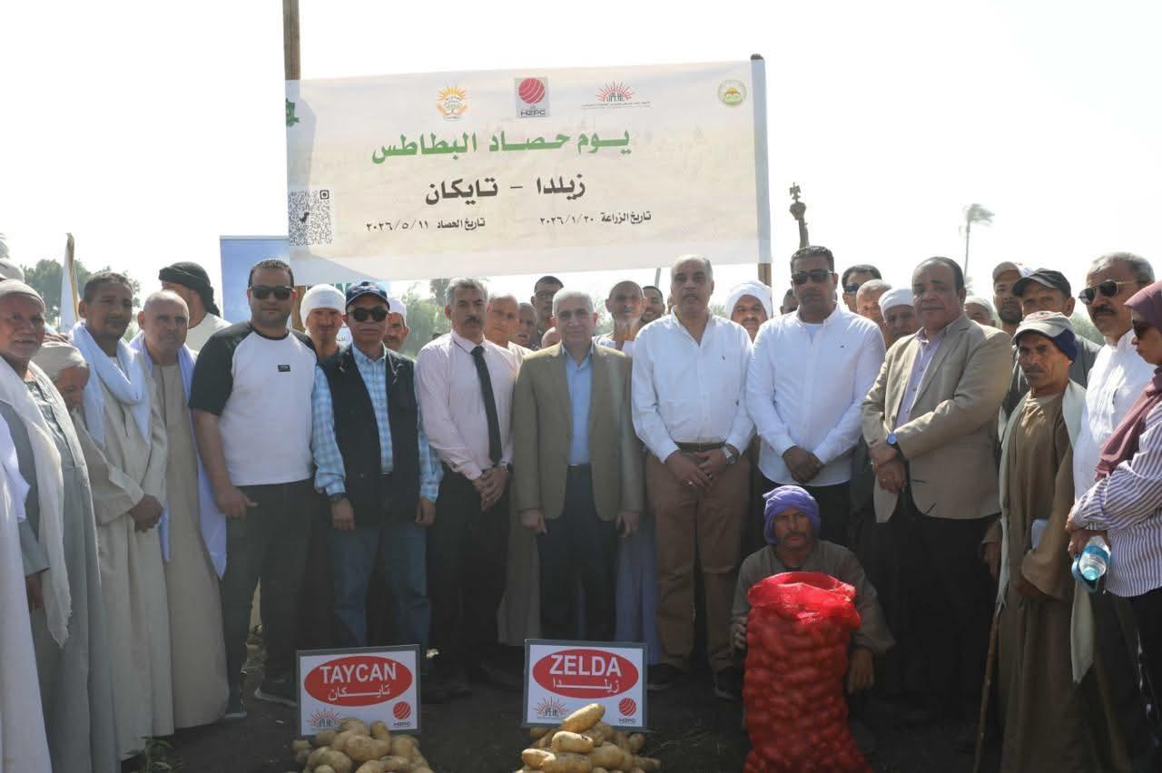 إنتاج 44 ألف فدان بطاطس.. والمنيا تعزز ريادتها فى الأمن الغذائى الوطنى و تصدر إلى أكثر من 90 دولة