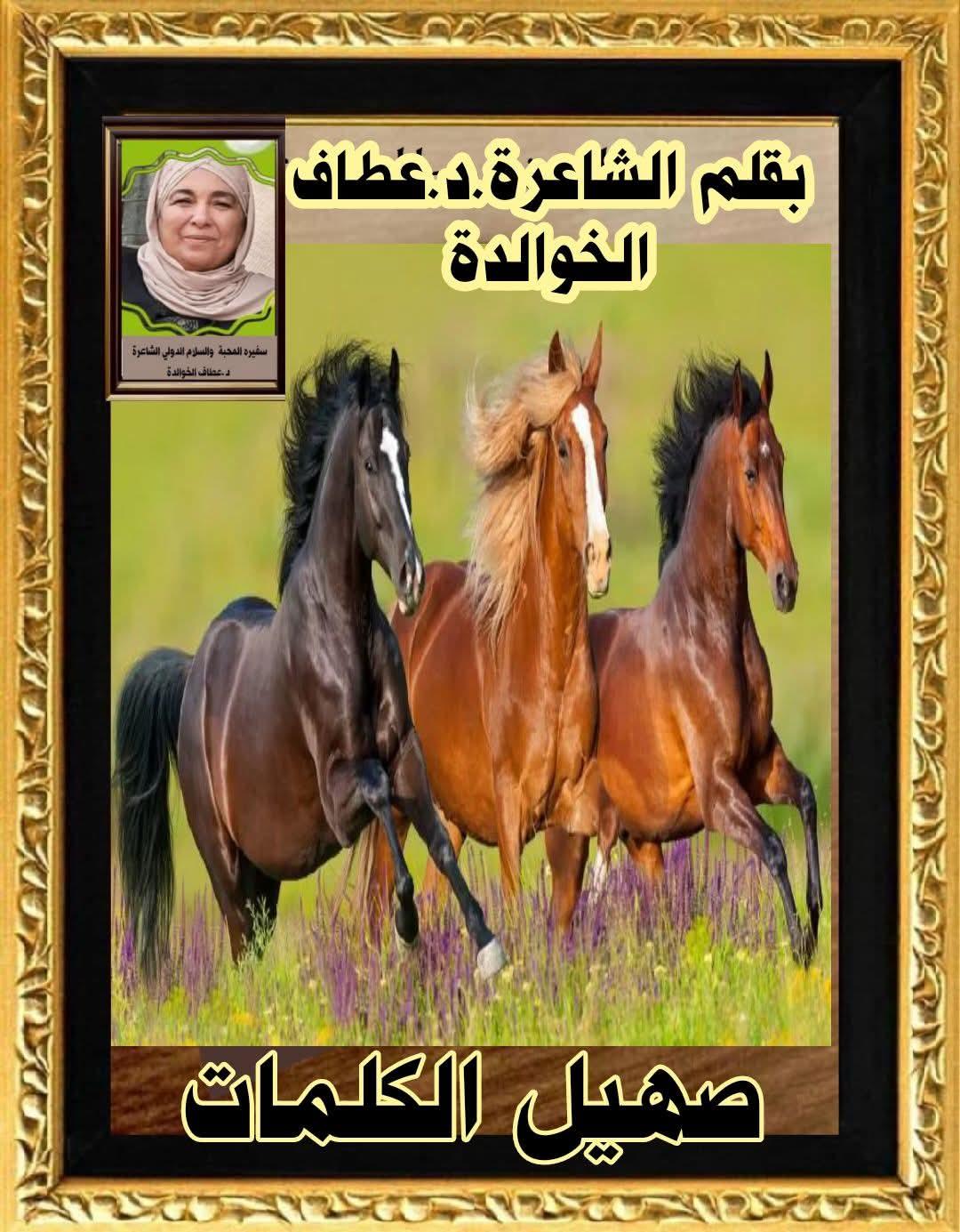 صهيلُ الكلمات