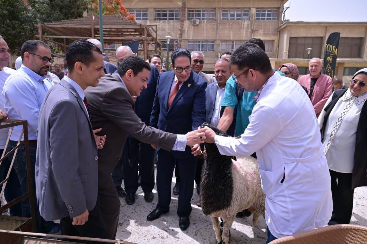 رئيس جامعة القاهرة يوجه بتوفير اللحوم والأضاحي بأسعار مخفضة لأعضاء هيئة التدريس والهيئة المعاونة والعاملين بمناسبة عيد الأضحى المبارك