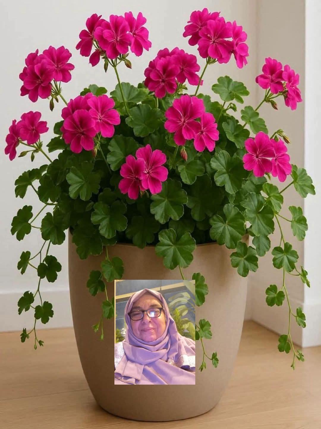 صهيلُ العزِّ