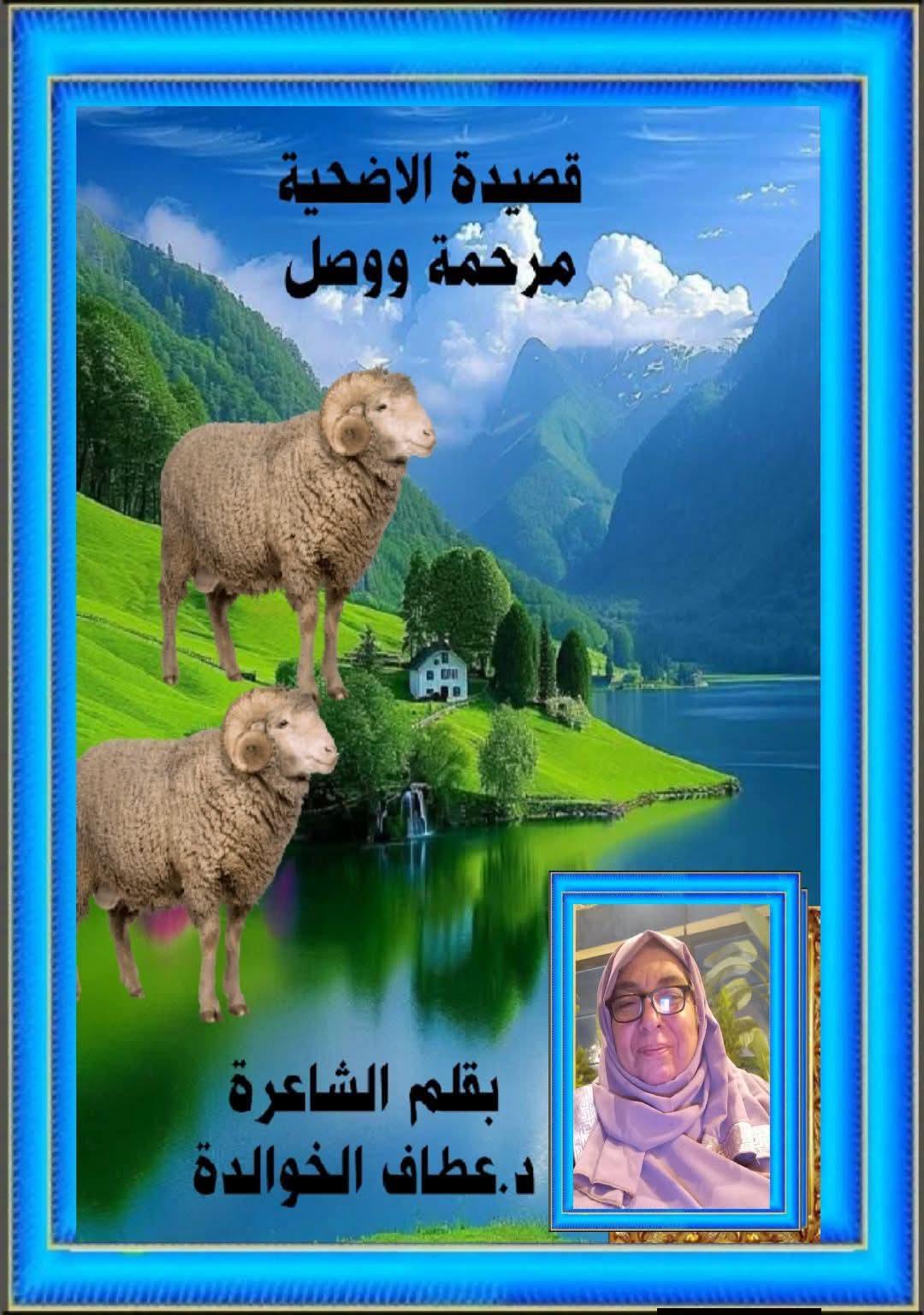 الأُضحِيَّةُ مَرْحَمَةٌ وَوَصل