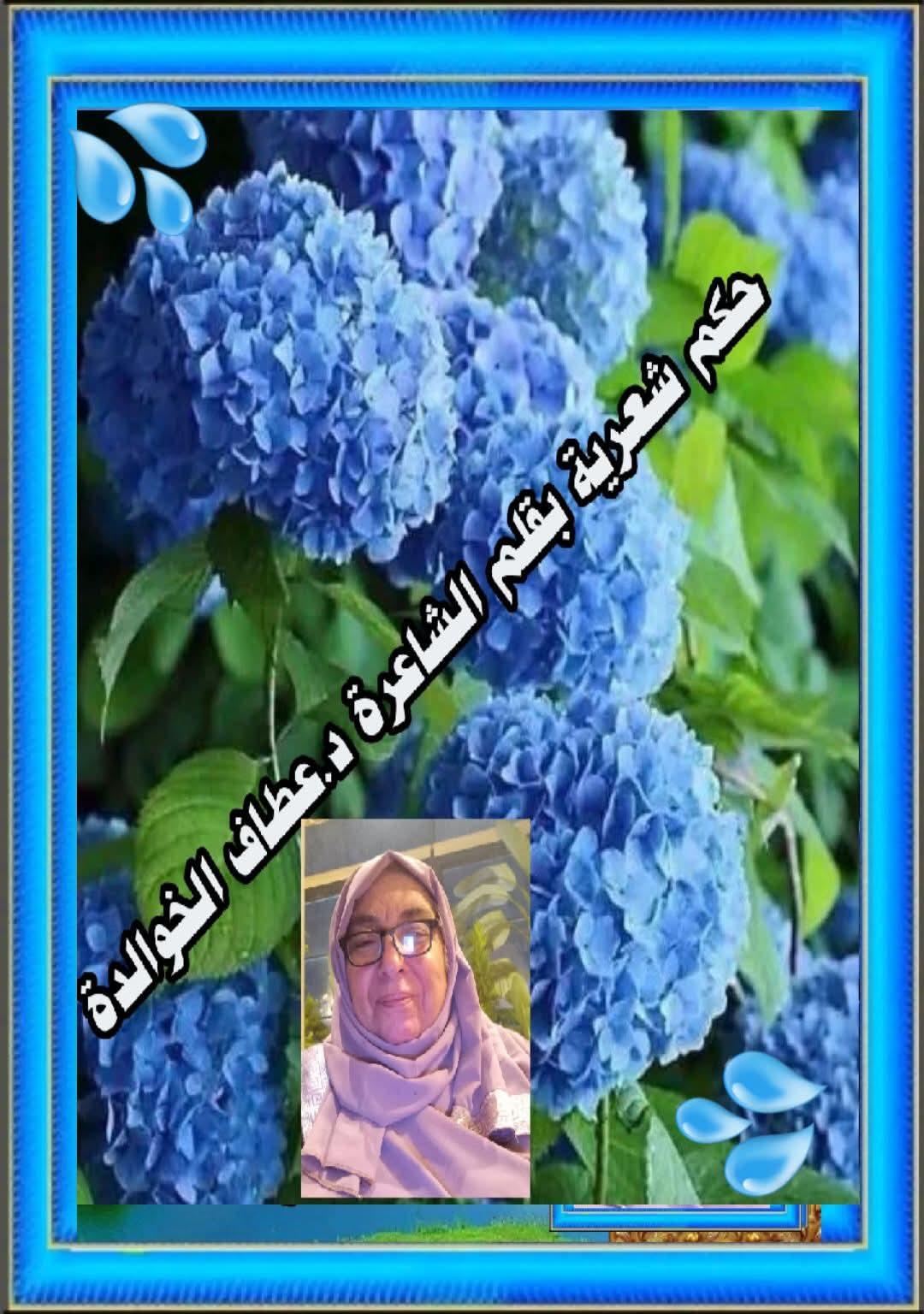 حكمةٌ شعري