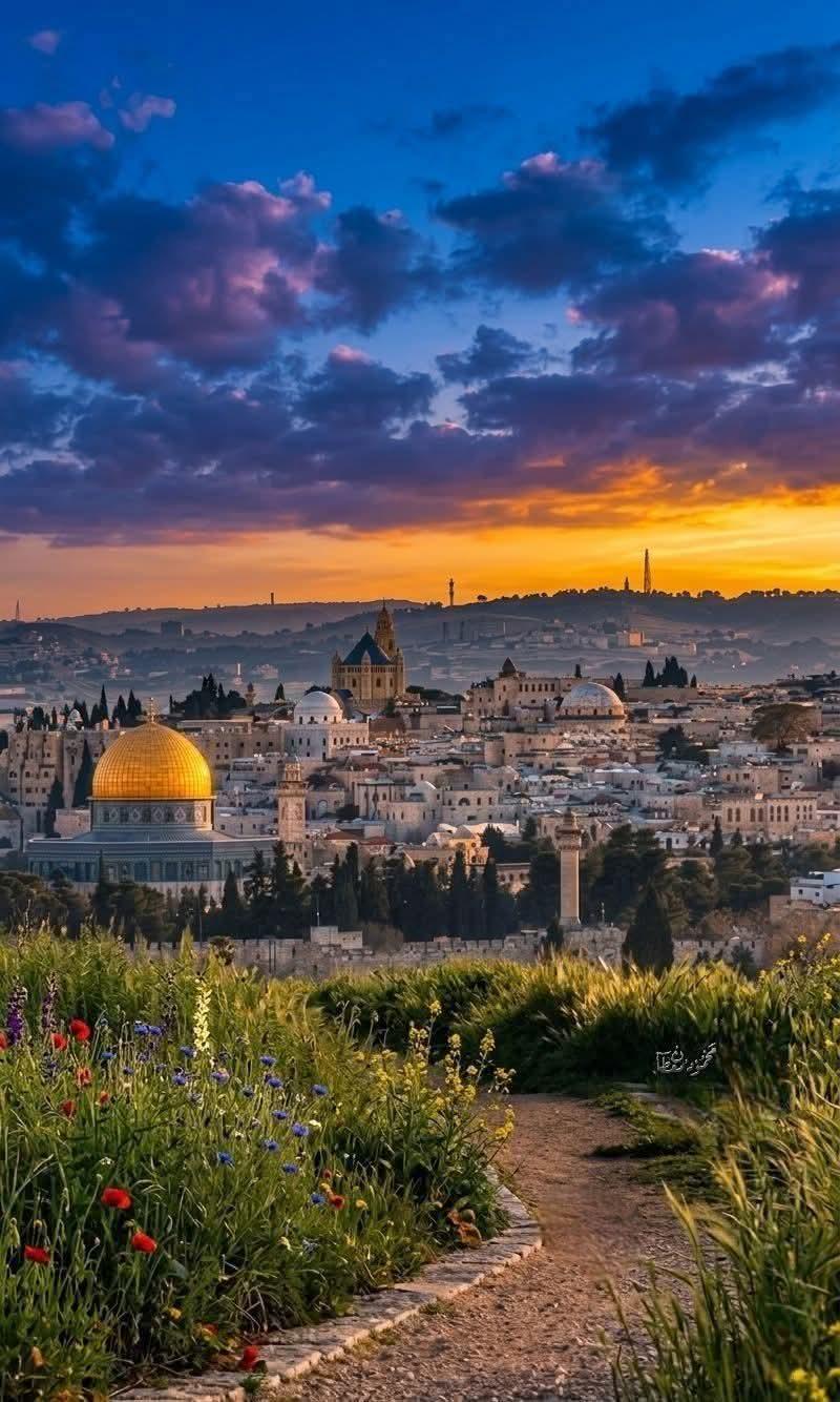 أصدرت 18 دولة عربية وإسلامية بيانا مشتركا نددت فيه بإقدام ما يسمى أرض الصومال بافتتاح سفارة له لدى الكيان في القدس المحتلة