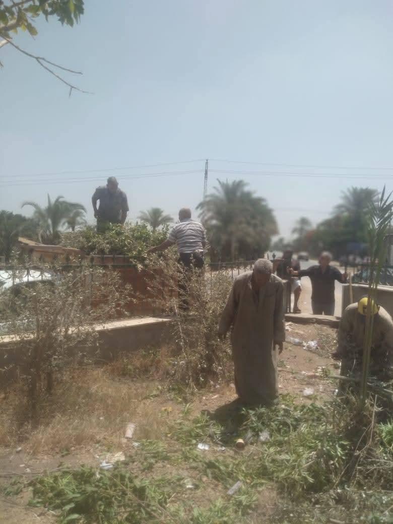 حملات مكبرة للنظافة والتشجير وتمهيد الطرق بمركز ومدينة سنورس بالفيوم