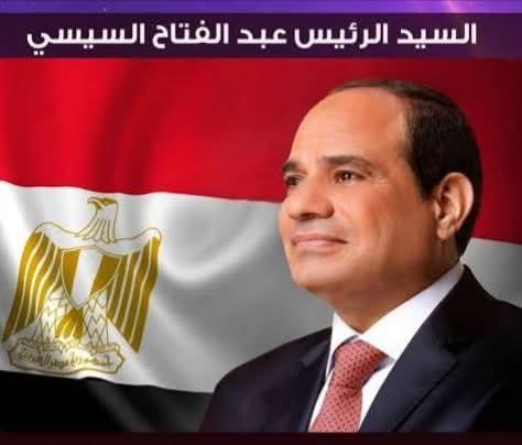 حماده عوضين يكتب: صناعة القيادة وبناء الإنسان.. قراءة في فكر الرئيس السيسي للإصلاح المؤسسي