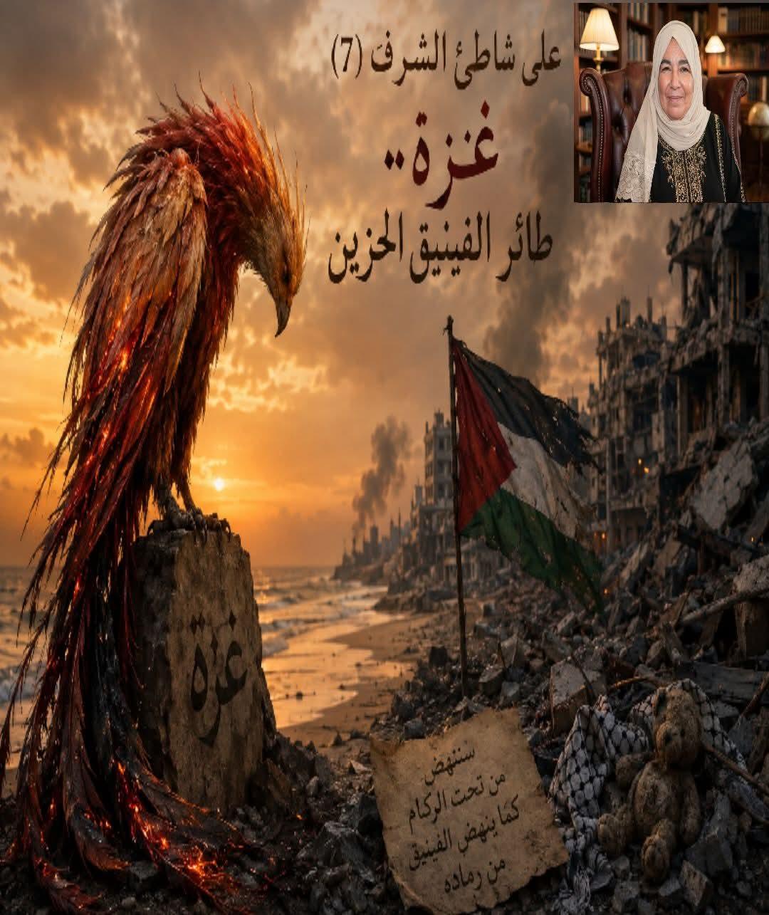 على شاطئ الشرف (7)