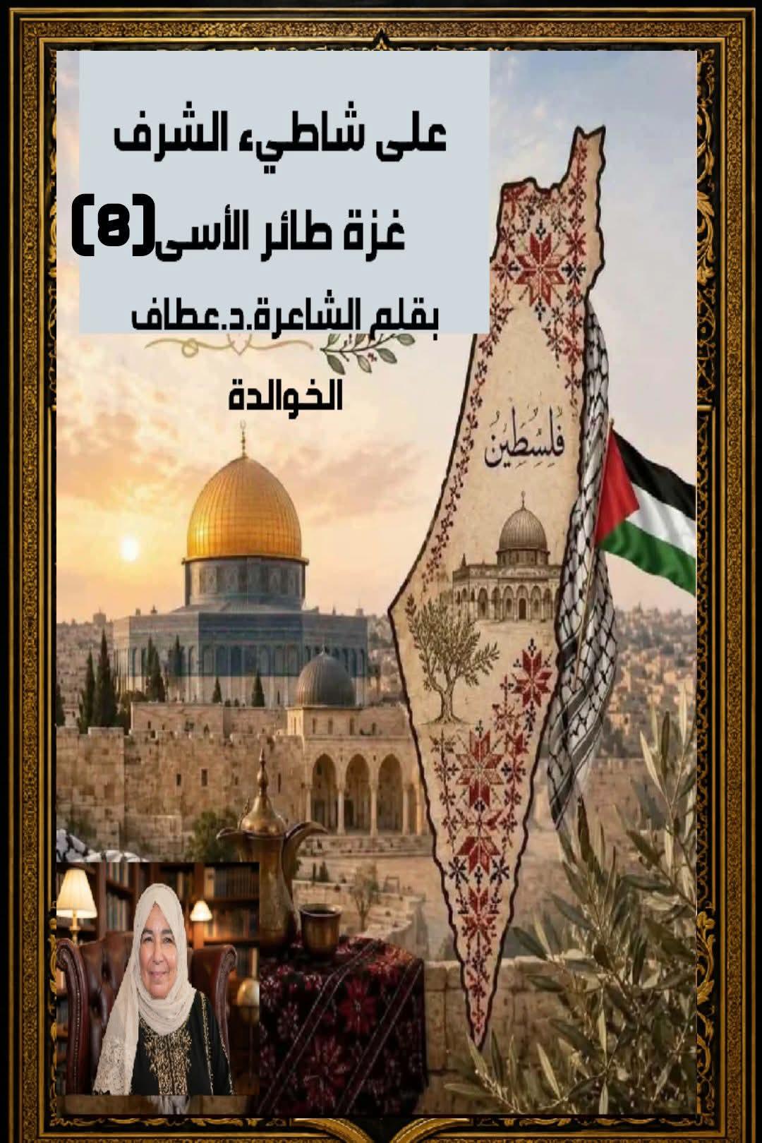 على شاطيء الشرف( 8)