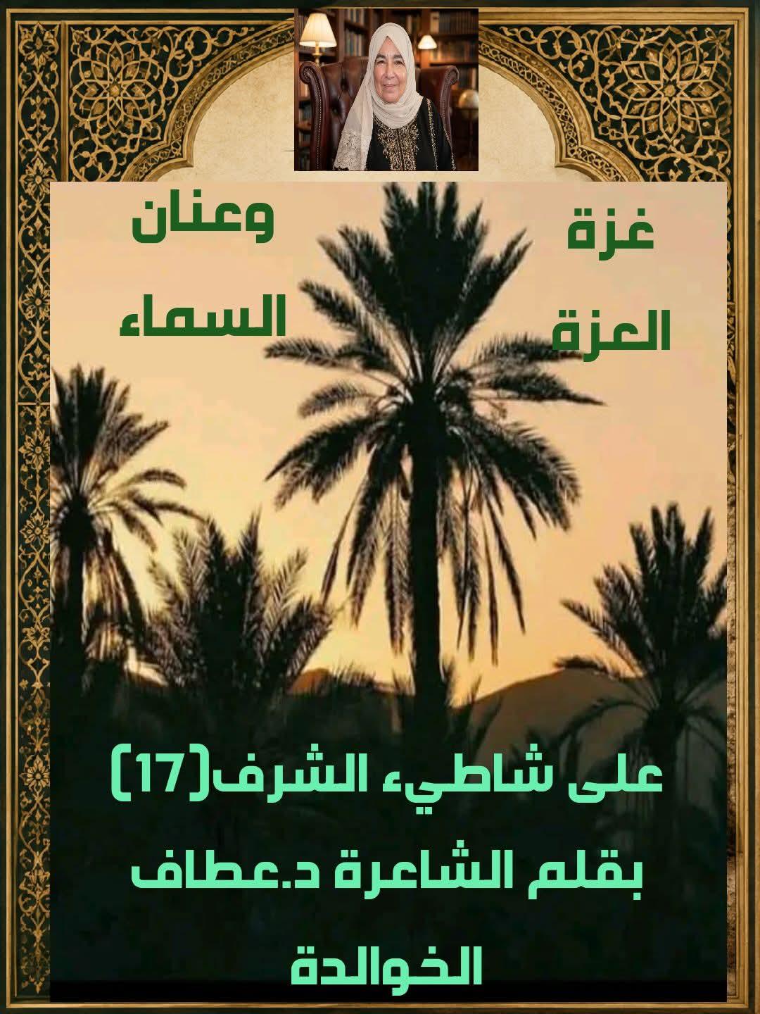 على شاطئ الشرف (17