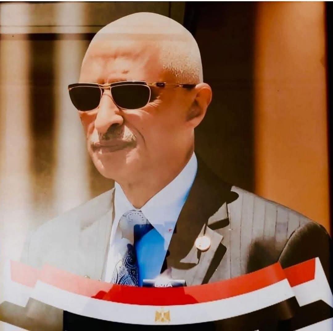 تزايد البلاغات عن مشاهدة ثعابين في أحياء بالعريش... ومواطنون يتداولون صورًا من مناطق مختلفة