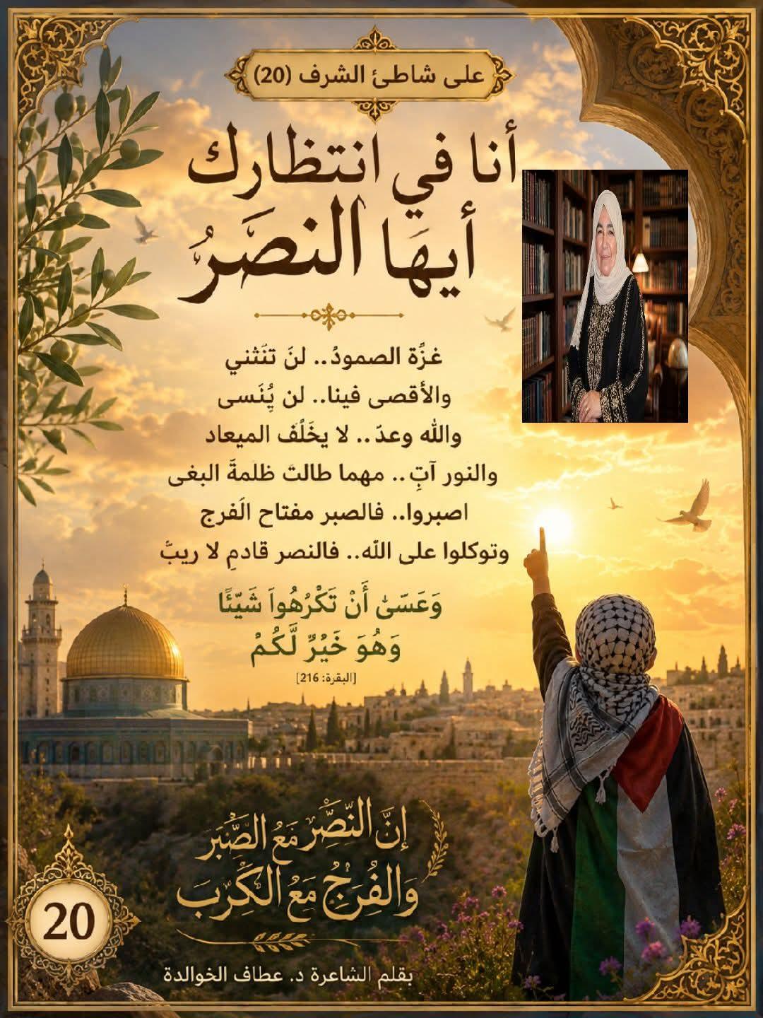 على شاطئ الشرف (20)