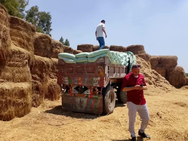 ضبط 108 شيكارة دقيق مدعم مخبأة داخل أرض زراعية بدكرنس محافظة الدقهلية
