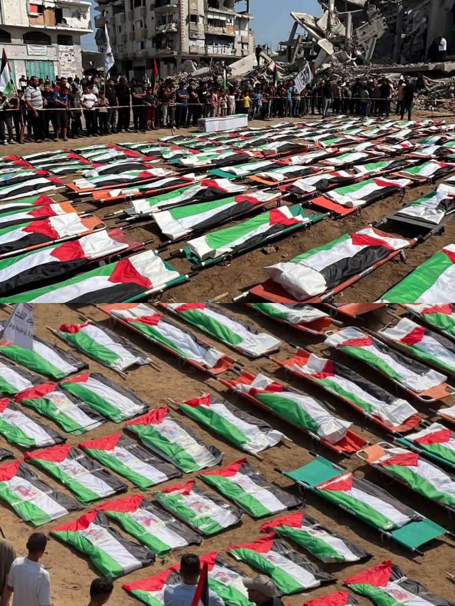 على درب الشموخ(١٧) أوقفوا المجازر..حالنا انقلب