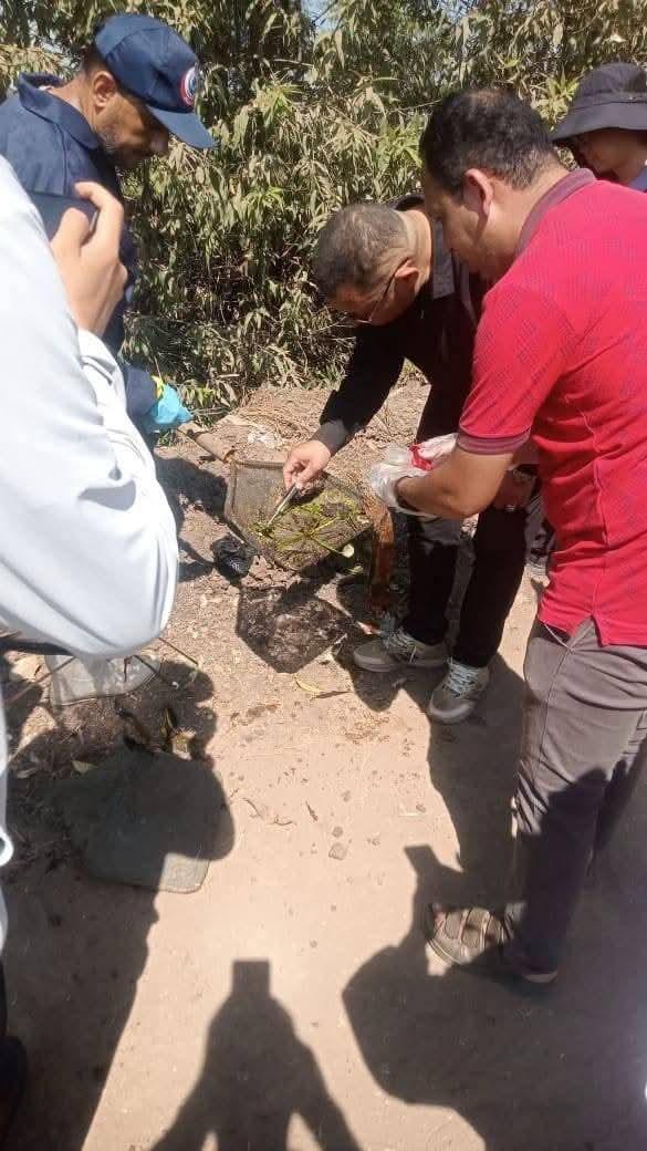 صحة الغربية تستقبل وفدا من وزارة الصحة ووفدا بحثيا صينيًا لتبادل الخبرات فى مجال الأمراض المتوطنة